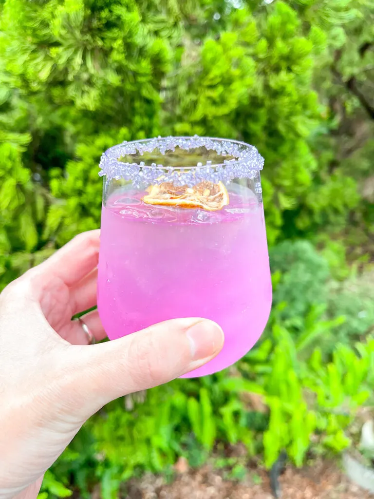 Silk Road Hard Lemonade with Smirnoff Vodka, Lavender-Coconut Syrup and Lemonade from Epcot's Festival of the Arts.