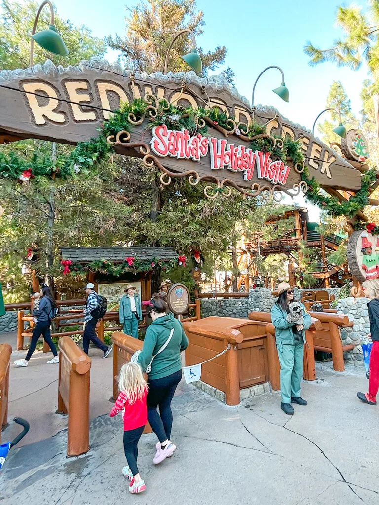 Redwood Creek Challenge trail at Disneyland decorated for Christmas.