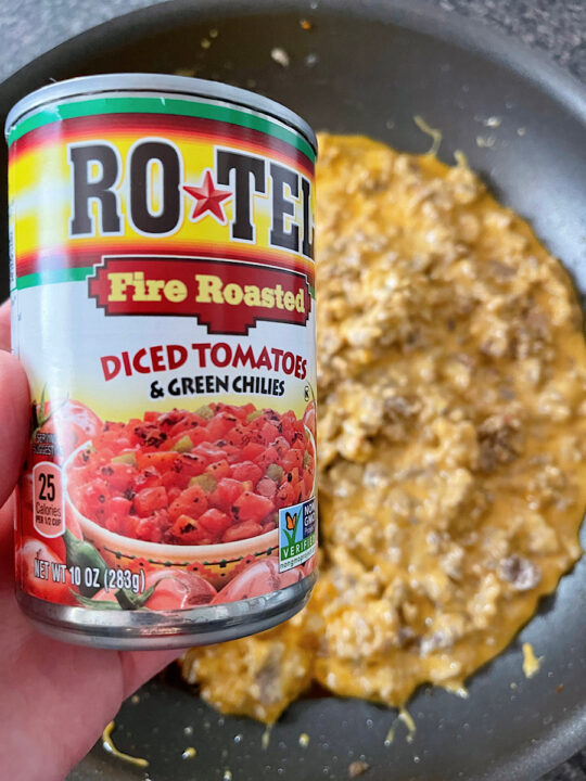 Cheesy Rotel Sausage Dip The Mommy Mouse Clubhouse