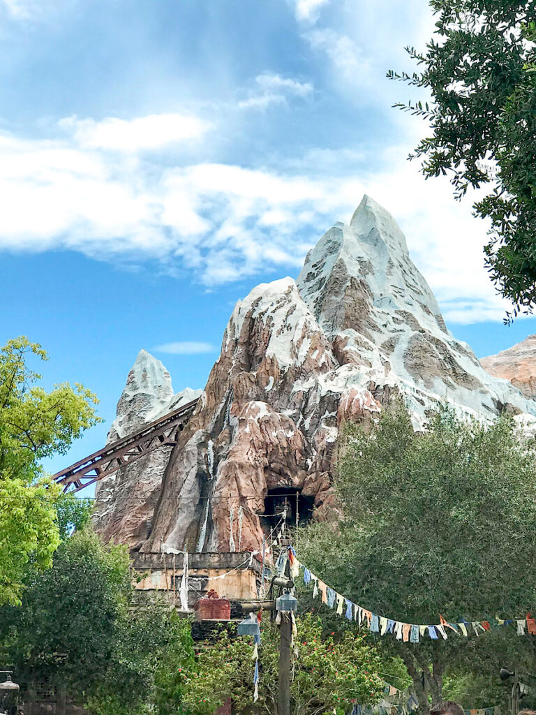 Expedition Everest roller coaster at Disney's Animal Kingdom Park.