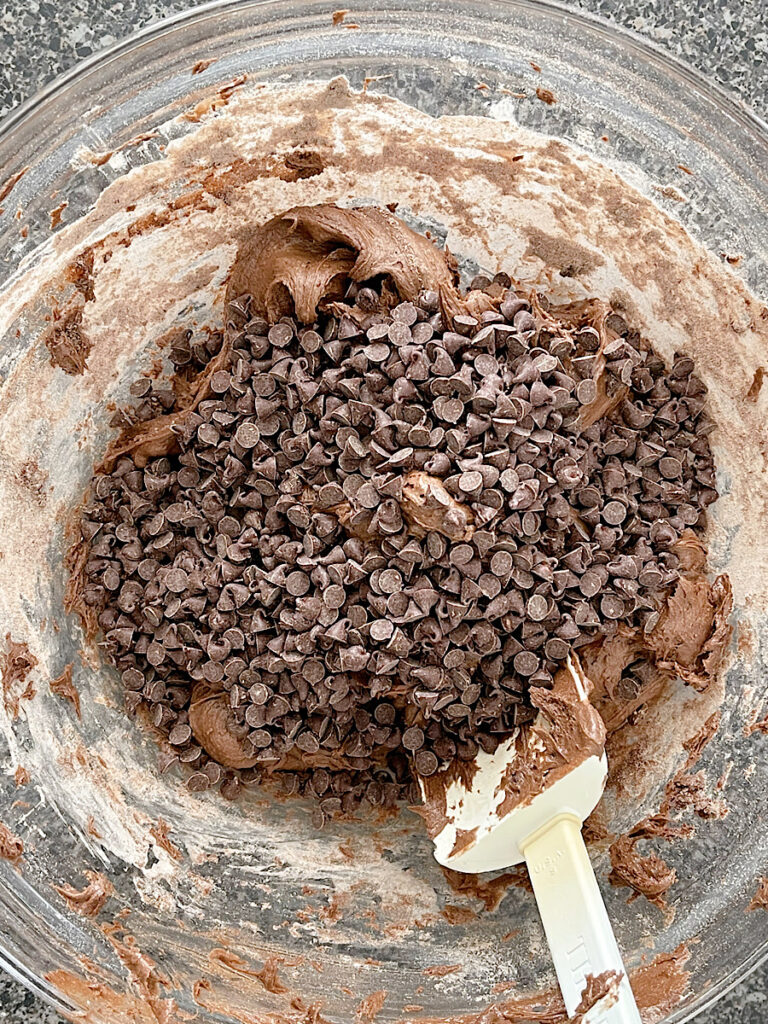 Brownie batter and chocolate chips in a bowl.