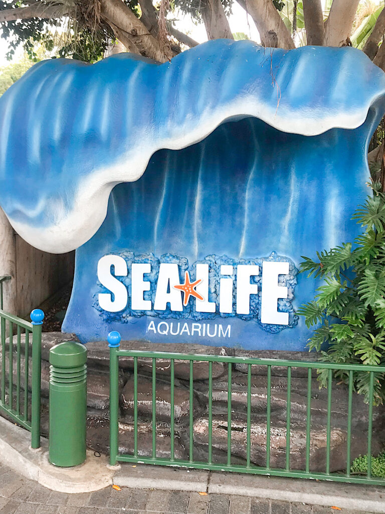 Sea Life Aquarium at Legoland California.