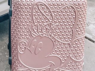 A Minnie Mouse suitcase.