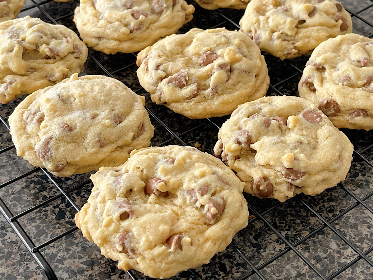 One dozen chocolate chip cookies.