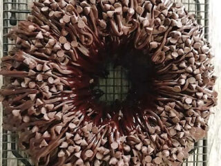 A chocolate bundt cake covered in chocolate chips on a cooling rack.