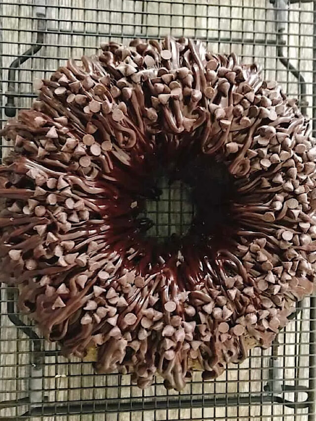 Chocolate Cake Mix Bundt Cake with Pudding