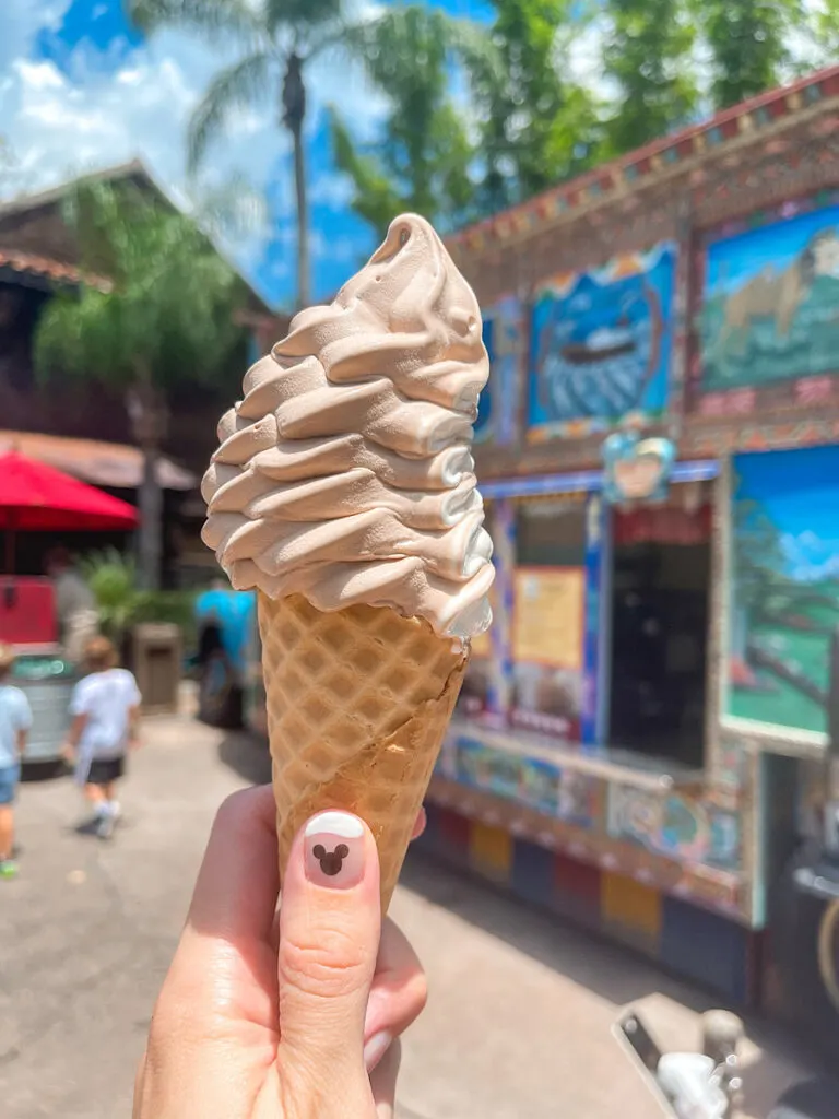 An ice cream cone from Animal Kingdom Park.