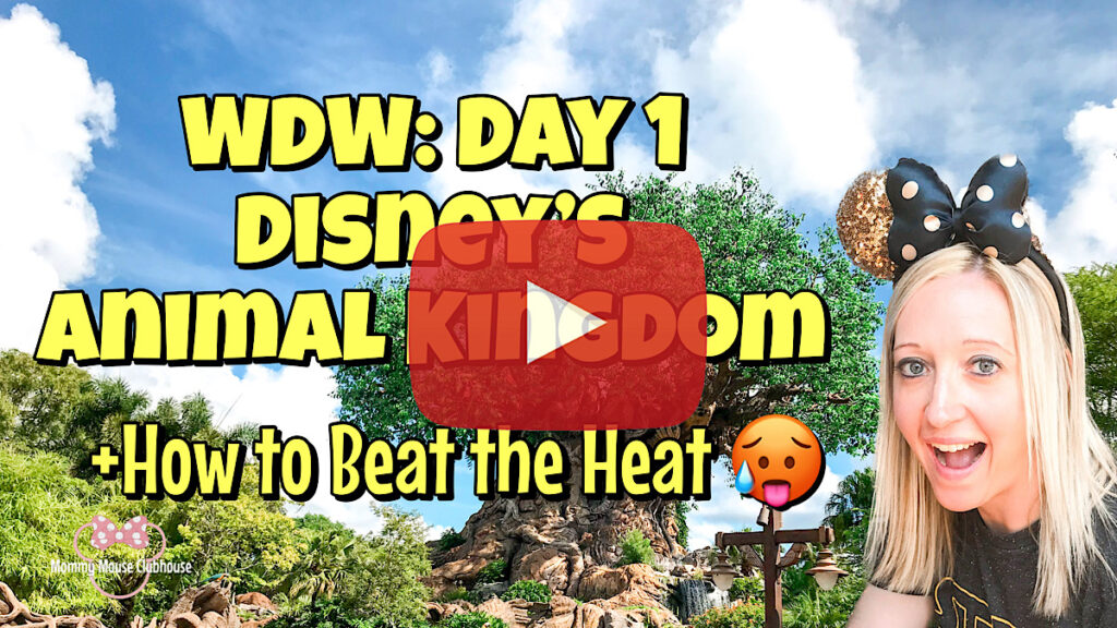 YouTube Thumbnail image for a day at Disney's Animal Kingdom.