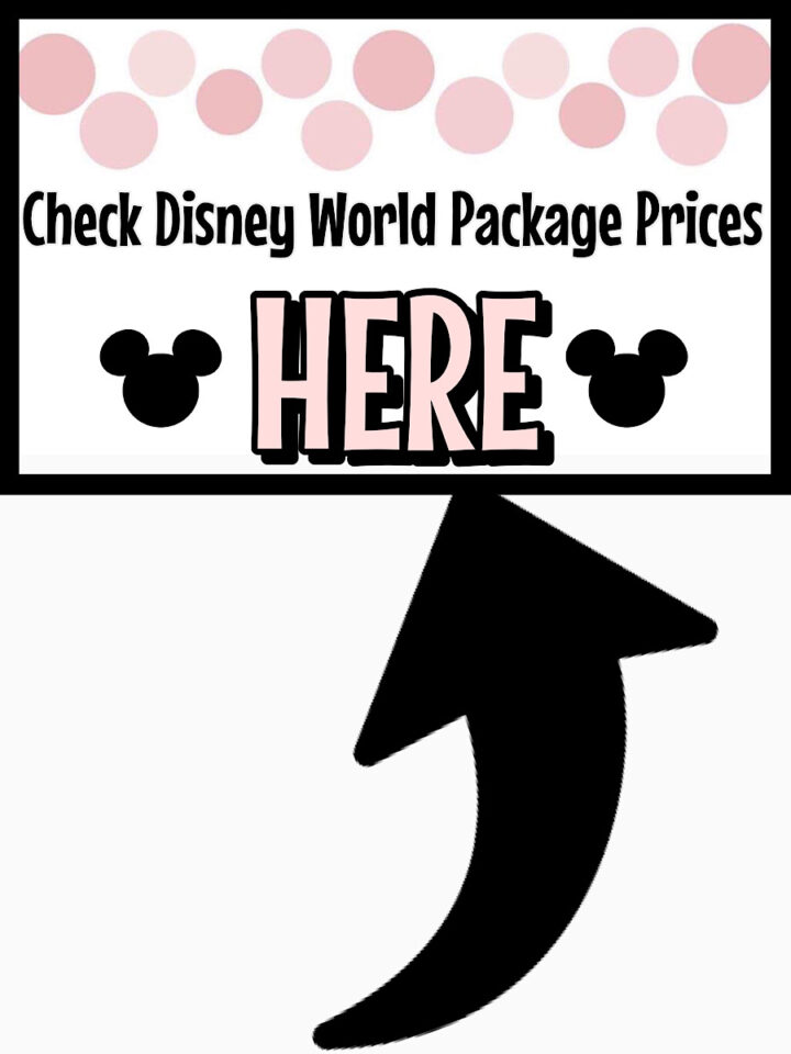 All About Disney World in June 2024 The Mommy Mouse Clubhouse