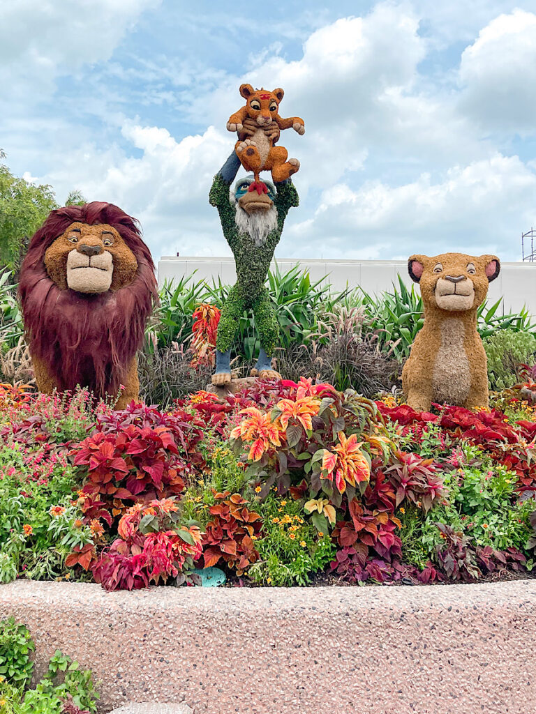 Lion King Characters made of flowers for the Epcot Flower & Garden Festival.