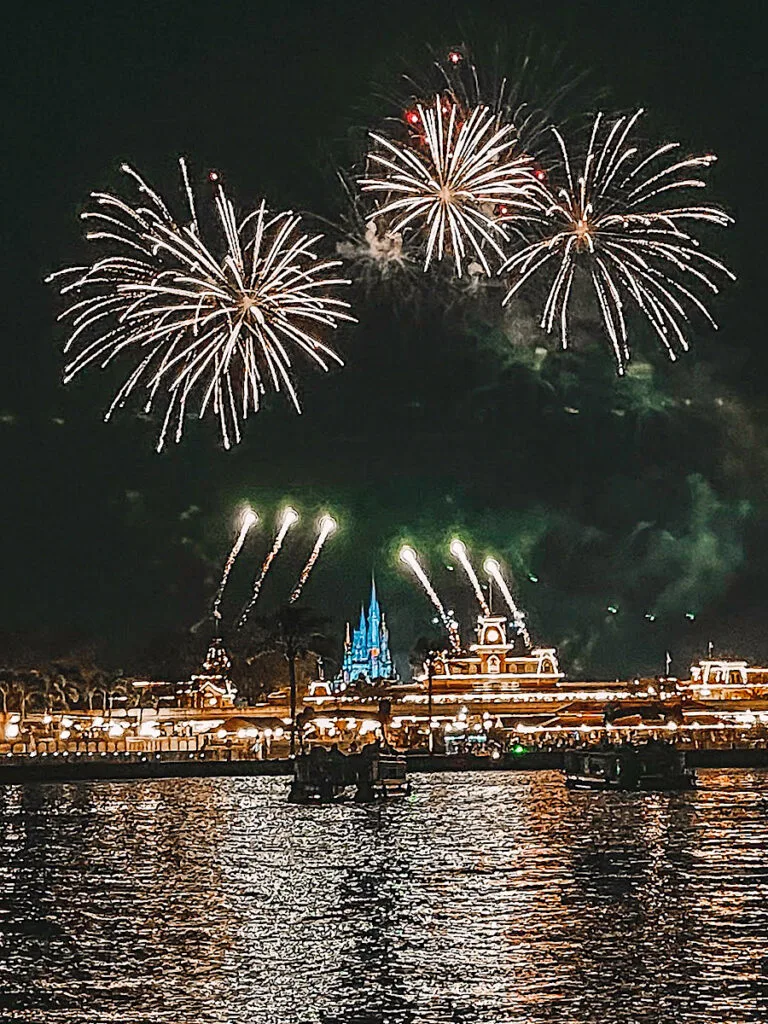 Magic Kingdom Fireworks from a private Fireworks Cruise.