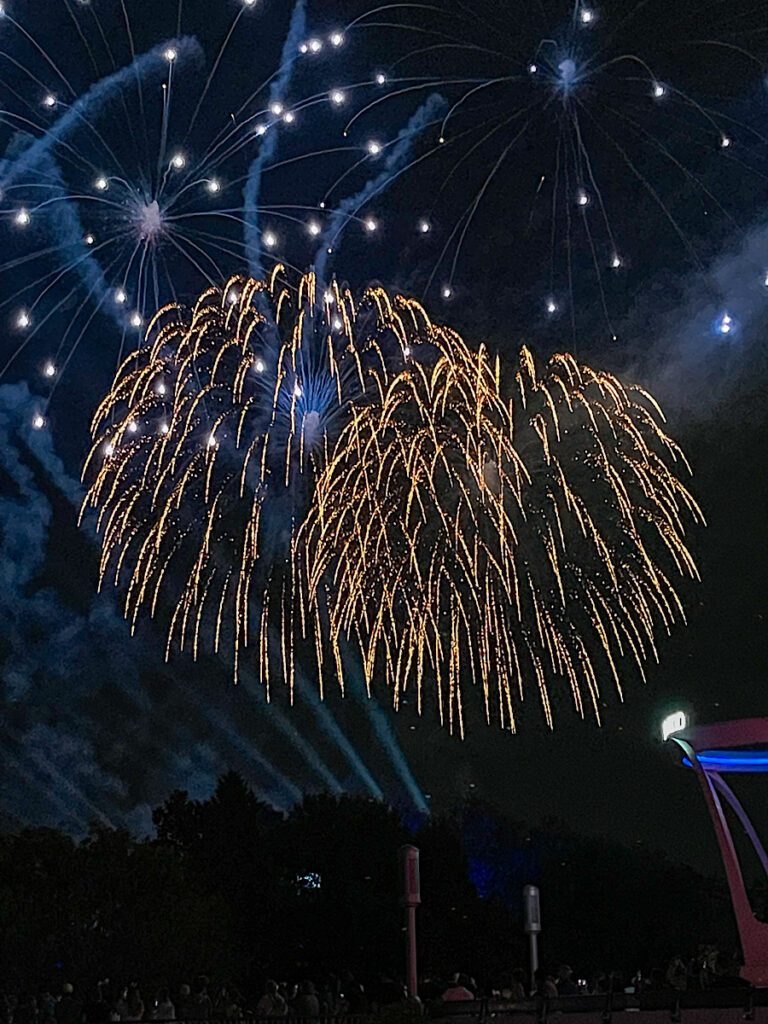 Fireworks at Magic Kingdom.