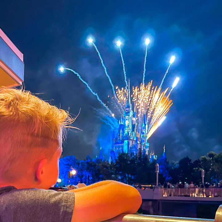 A boy watching the fireworks at Magic Kingdom from Tomorrowland Terrace during a fireworks dessert party.