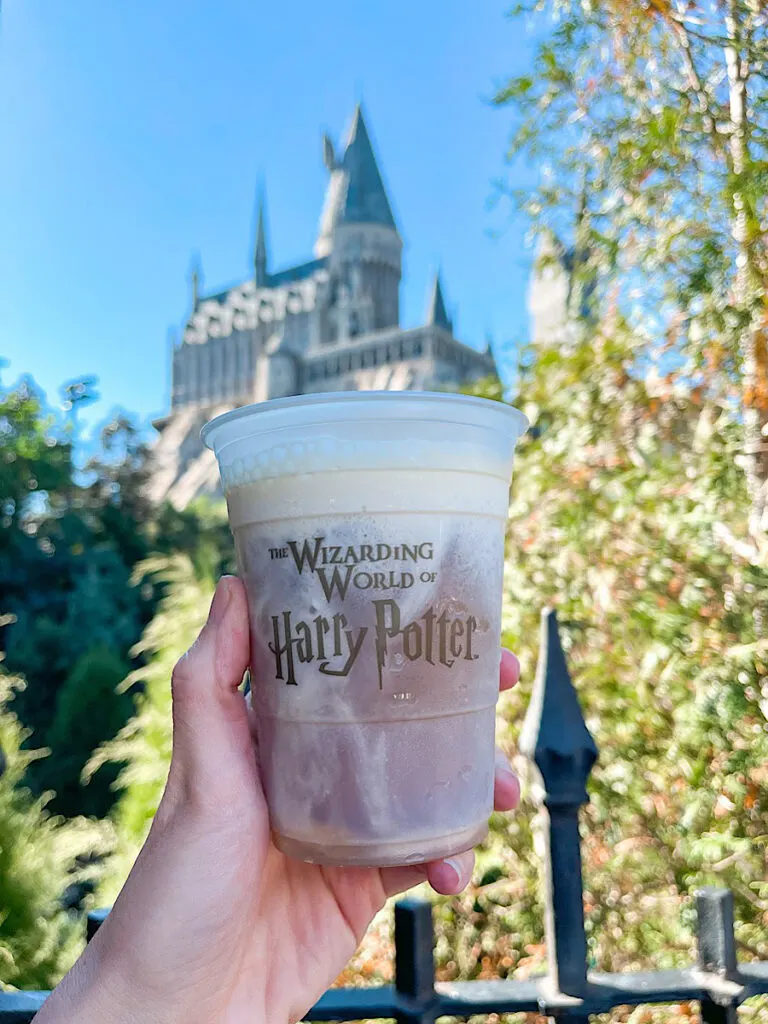 A frozen butterbeer drink from Wizarding World of Harry Potter at Universal Orlando.