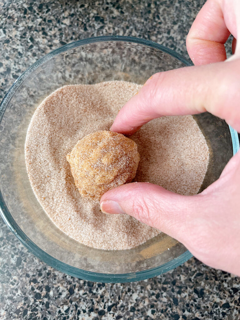 A cookie dough ball rolled in cinnamon sugar.