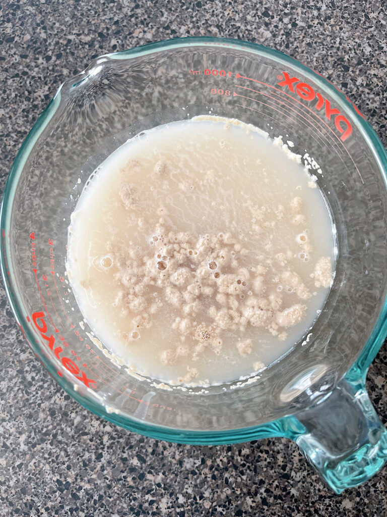 Yeast and water in a glass measuring cup.