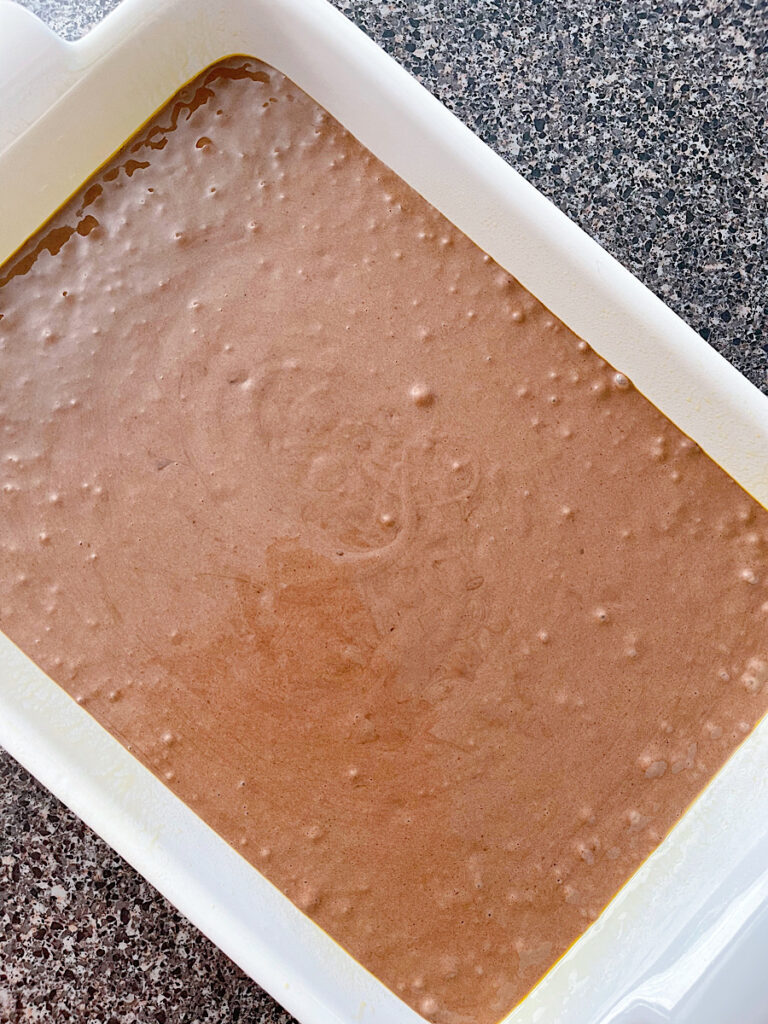 Chocolate cake batter in a cake pan.