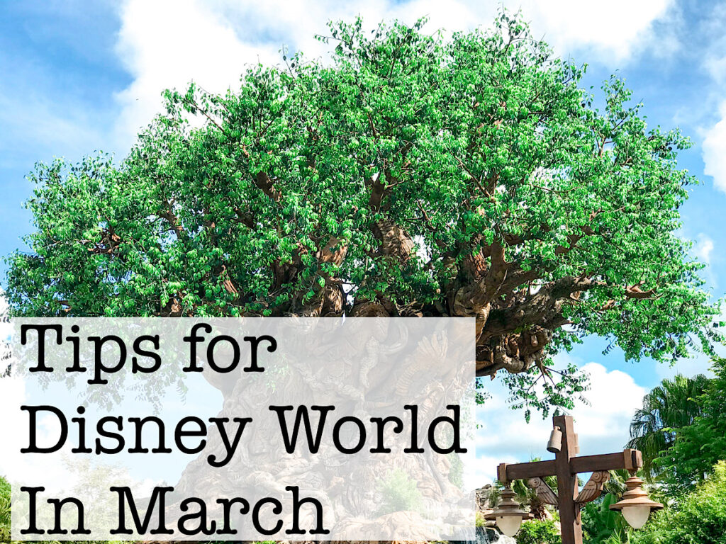 Tree of Life at Disney's Animal Kingdom with text that says, "Tips for Disney World in March"