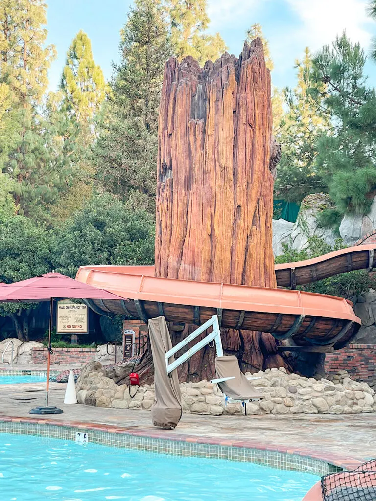 Redwood Water Slide at Disney's Grand Califorinian.