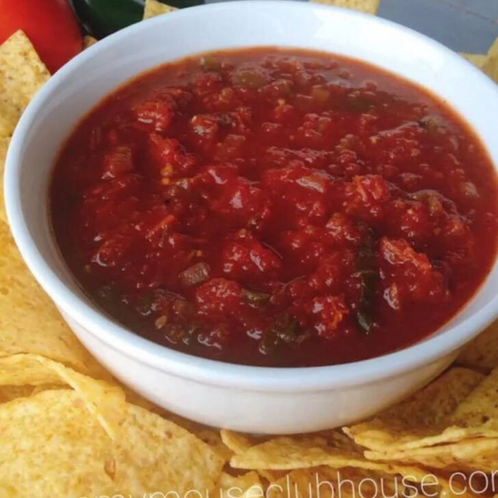 Salsa made with canned tomatoes in a white bowl with tortilla chips.