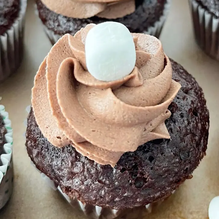 A chocolate cupcake with hot chocolate frosting and a marshmallow on top.