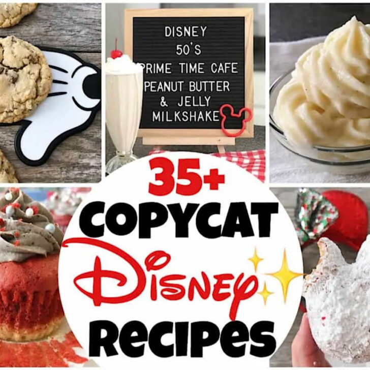 A picture collage of copycat Disney Recipes.