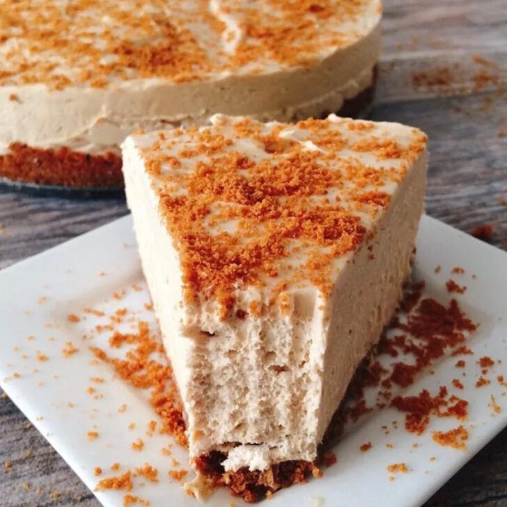 A slice of no bake cookie butter cheesecake.