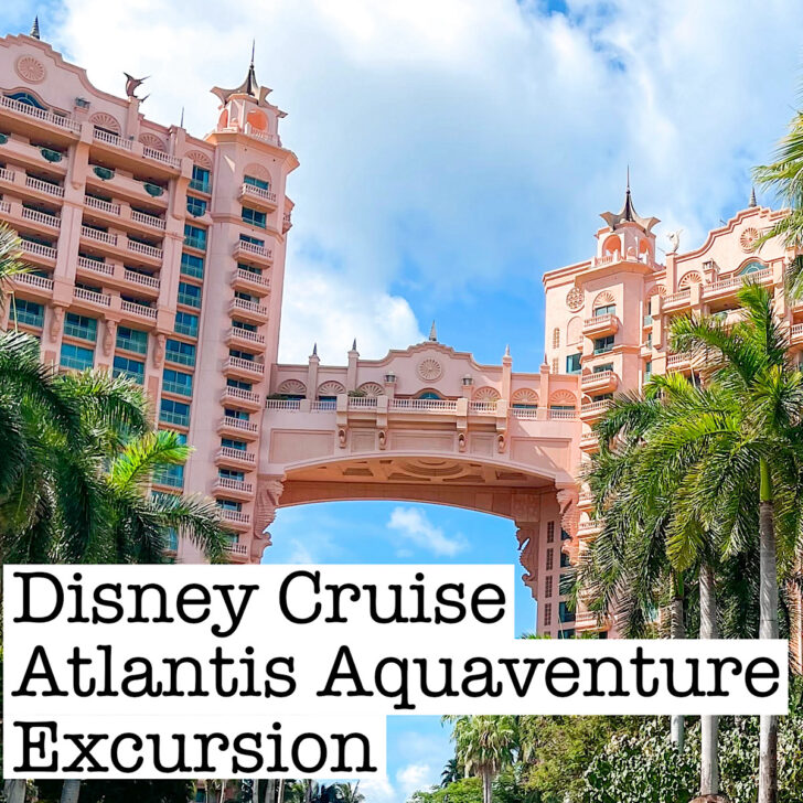 Disney Cruise Atlantis Aquaventure Excursion Review.