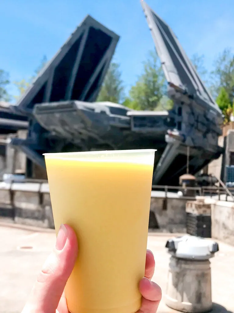 Green Milk from the Milk Stand at Star Wars Galaxy's Edge.