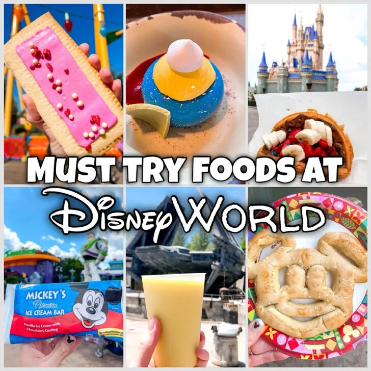 A collage of foods to try at Disney World.
