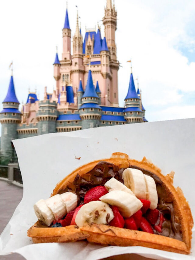 A fruit & Nutella waffle from Sleepy Hollow in front of Cinderella Castle at Disney's Magic Kingdom.