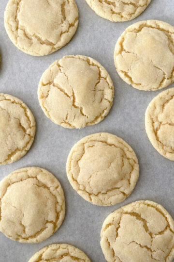 Sugar cookies on a piece of parchment paper.