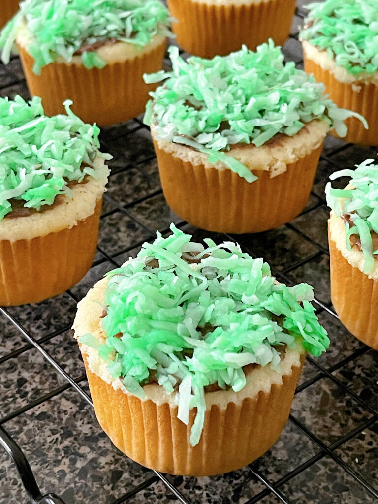 Vanilla cupcakes with green coconut, and chocolate frosting.