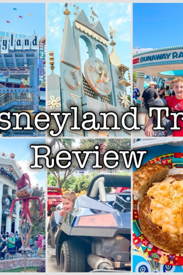 A photo collage of Disneyland pictures.