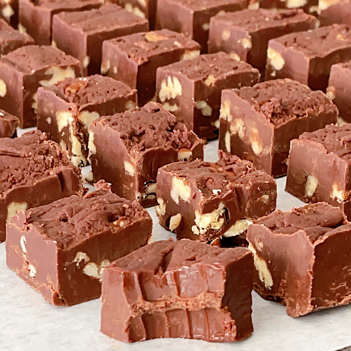 Fudge cut into pieces on parchment paper.