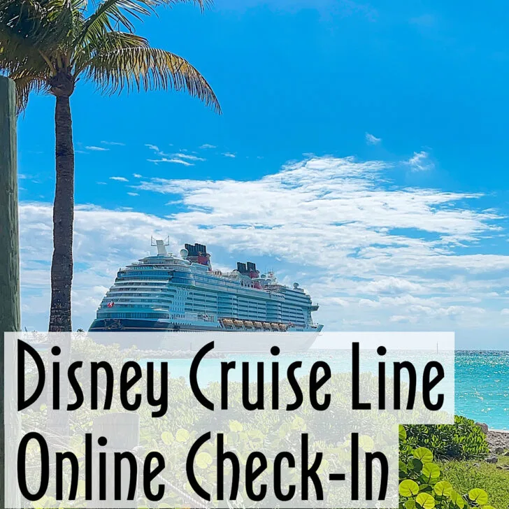 The Disney Wish at Castaway Cay with text that says 