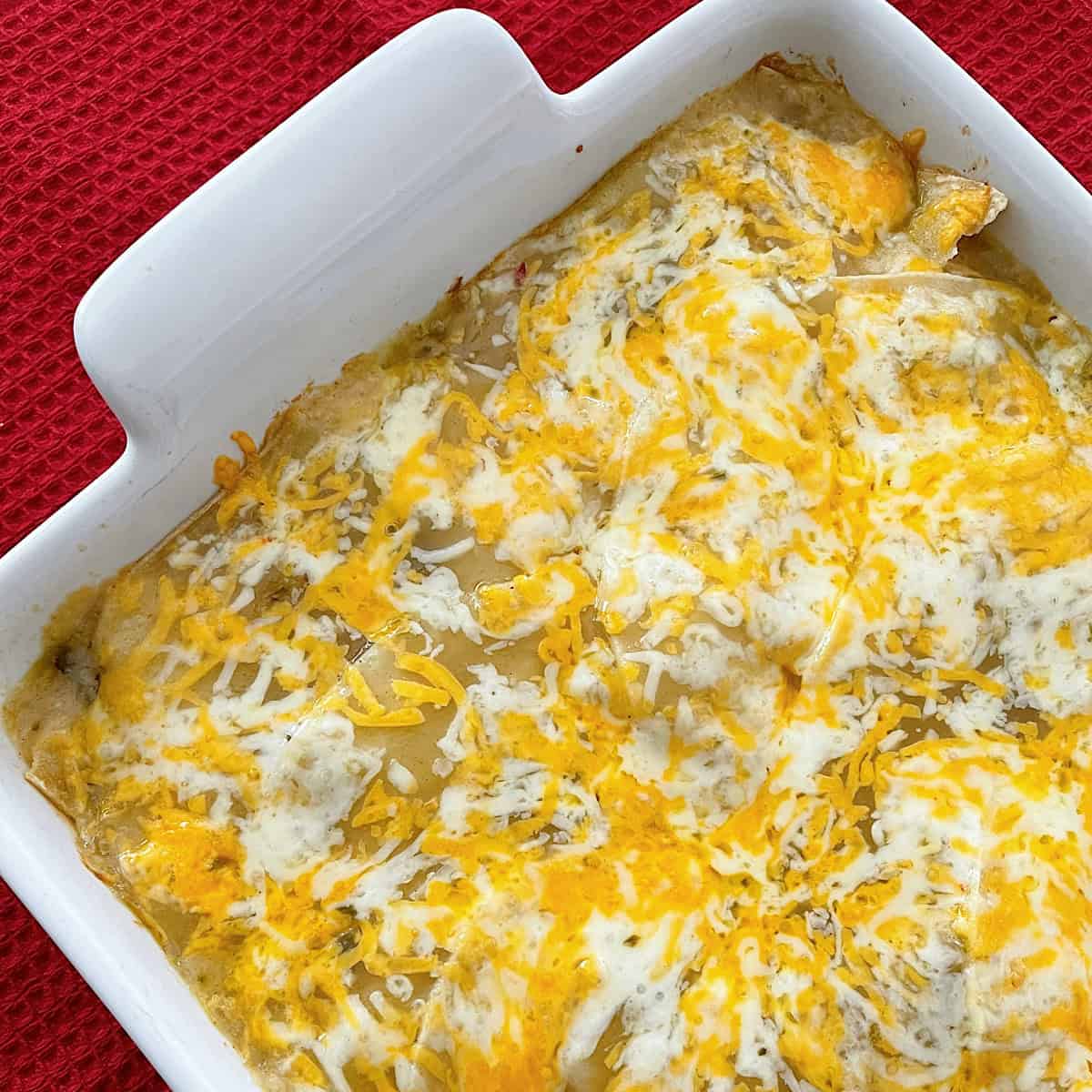 Baked green chicken chile enchiladas in a white baking dish.