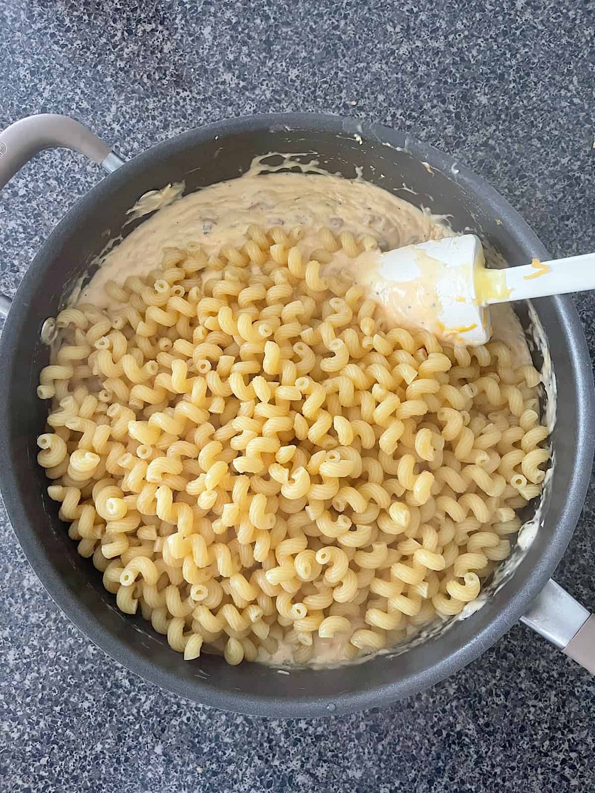 Pasta in a chicken and cheese sauce.