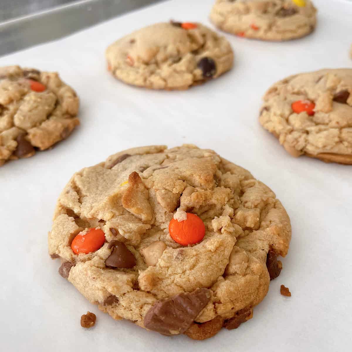 Reese's peanut butter cookies filled with peanut butter chips, peanut butter cups, and Reeses Pieces on a baking sheet.