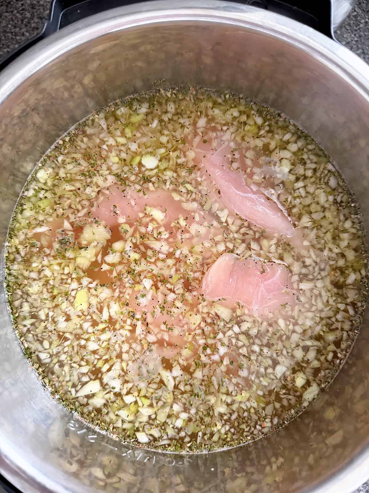 Soup and wet chicken in an Instant Pot.