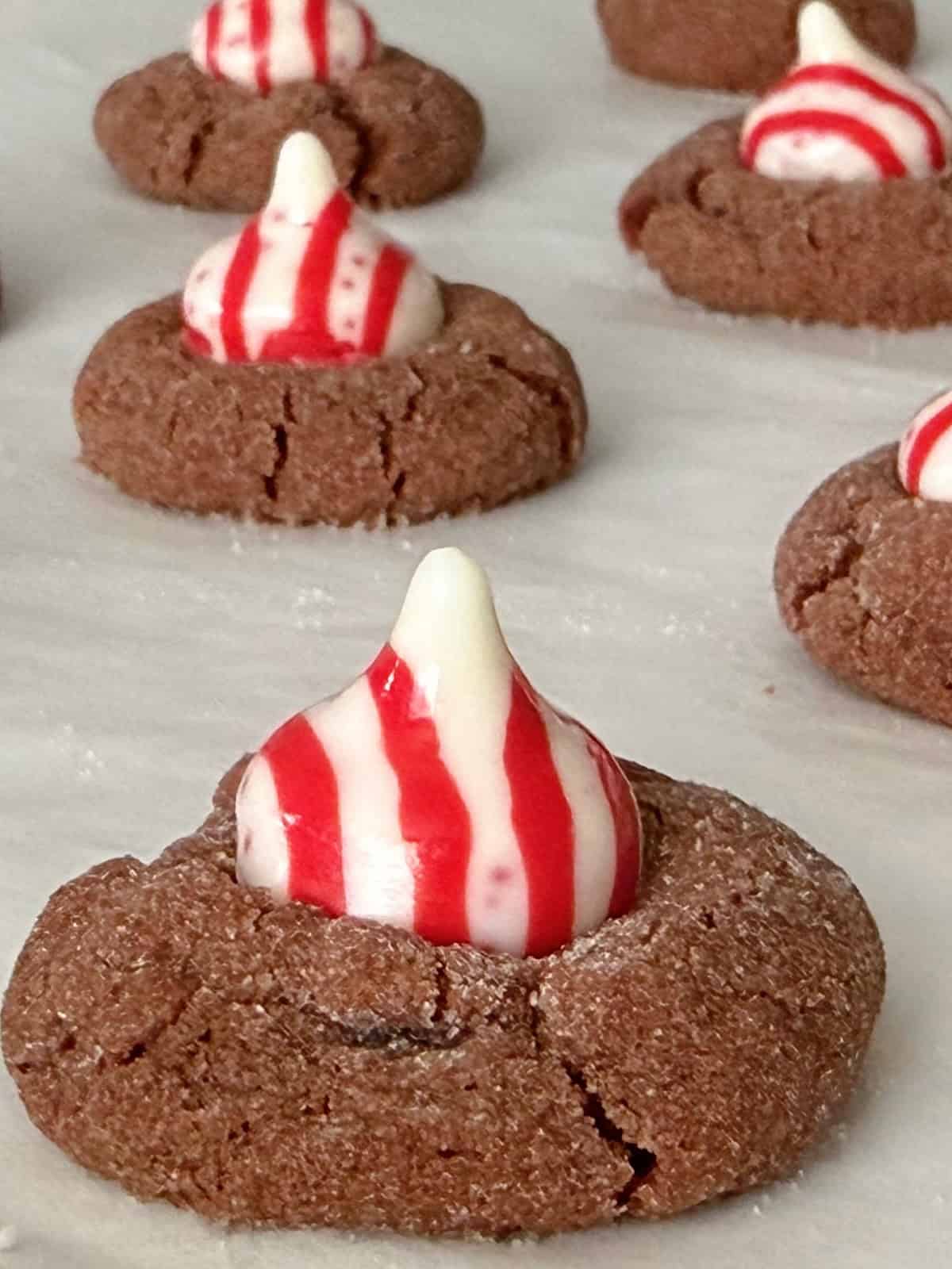 Chocolate peppermint blossoms on parchment paper.