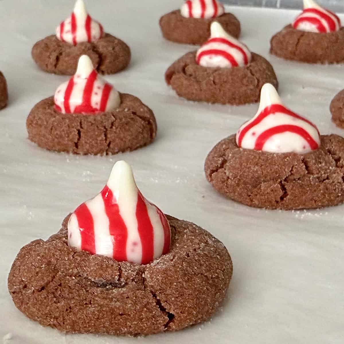 Chocolate peppermint blossoms on parchment paper.