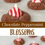 A photo collage of Chocolate Peppermint Blossom Cookies.