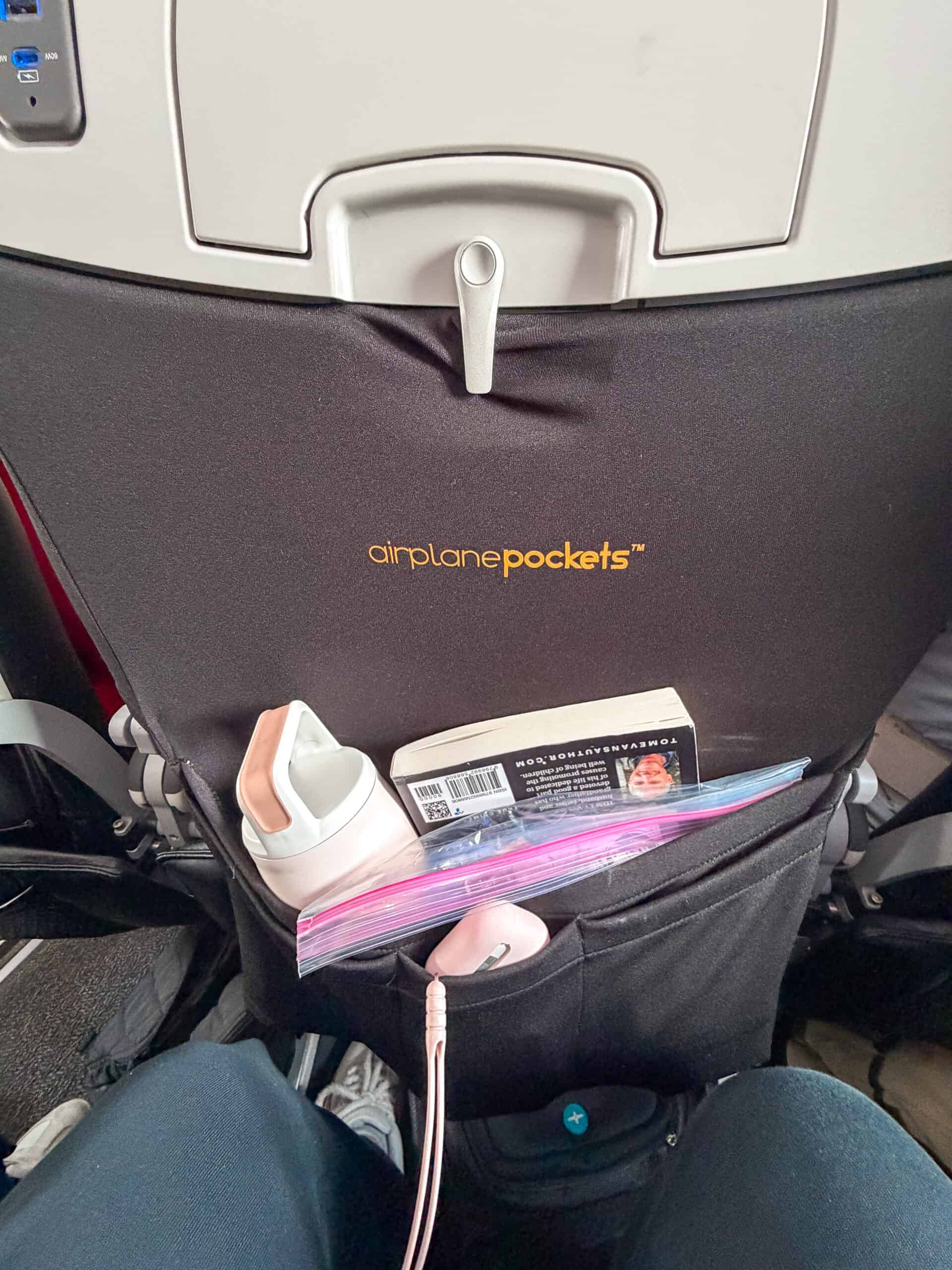 An airplane pocket from Amazon.