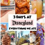 A collage of food from Disneyland.
