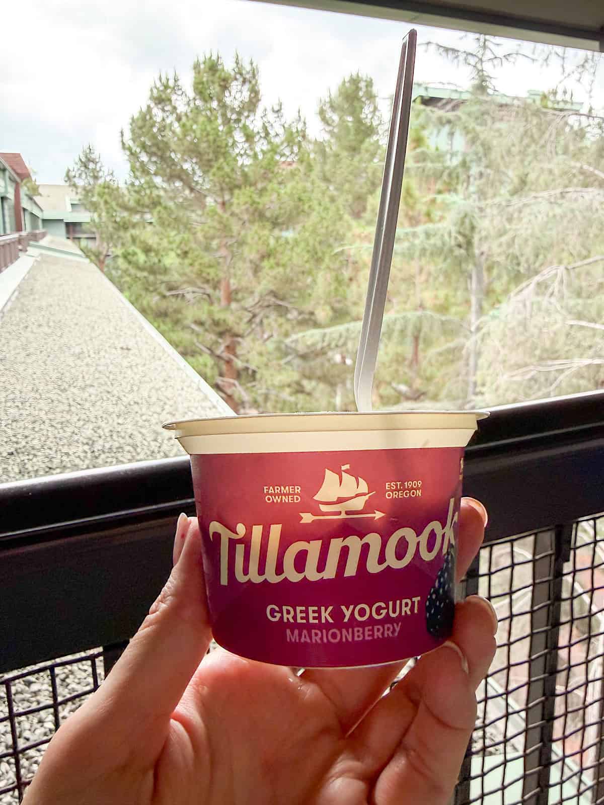 A cup of yogurt on the balcony of our room at Disney's Grand Californian Hotel & Spa.