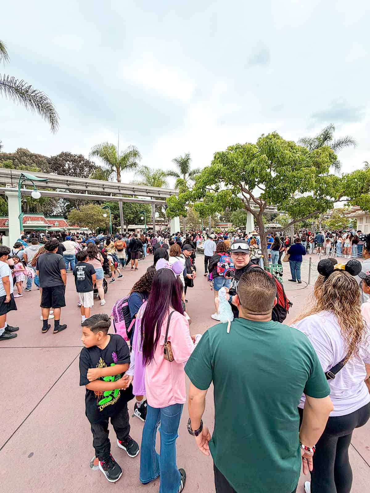 A crowd of people waiting to enter Disneyland.